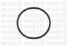 METELLI 24-0765 (240765) Water Pump