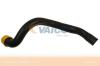 VAICO V30-1663 (V301663) Radiator Hose