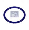 DT 5.41035 (541035) Seal Ring