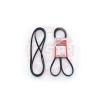 MASTER-SPORT 5PK1750-PCS-MS (5PK1750PCSMS) V-Ribbed Belts