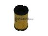 PURFLUX L418 Oil Filter