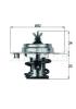 BEHR TX783D Thermostat, coolant
