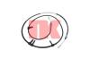 NK 901985 Cable, parking brake