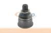 VAICO V30-7116-1 (V3071161) Ball Joint