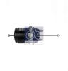 DT 1.18055 (118055) Spring-loaded Cylinder