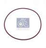 DT 2.44102 (244102) Seal Ring