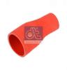DT 4.80331 (480331) Radiator Hose