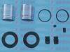 AUTOFREN SEINSA D42056C Repair Kit, brake caliper
