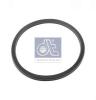 DT 4.20254 (420254) Sealed Ring, gearshift linkage