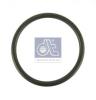 DT 4.20242 (420242) Seal Ring