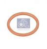 DT 9.01007 (901007) Seal Ring