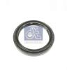 DT 4.20545 (420545) Shaft Seal, differential