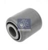 DT 10.16272 (1016272) Bush, leaf spring