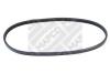MAPCO 230675 V-Ribbed Belts