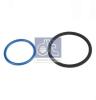 DT 1.31207 (131207) Seal Ring, injector shaft