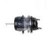 DT 10.14401 (1014401) Spring-loaded Cylinder
