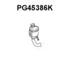 VENEPORTE PG45386K Catalytic Converter