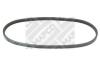 MAPCO 230670 V-Ribbed Belts