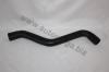 AUTOMEGA 301210101191P Radiator Hose
