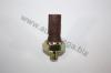 AUTOMEGA 309190081038C Oil Pressure Switch