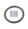 DT 1.16423 (116423) Seal Ring