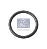 DT 4.20313 (420313) Seal Ring