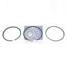 DT 2.90125 (290125) Piston Ring Kit