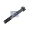DT 10.17290 (1017290) Screw