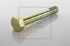 PE Automotive 044.034-00A (04403400A) Screw