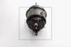 PE Automotive 046.447-00A (04644700A) Spring-loaded Cylinder