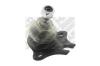 MAPCO 19679 Ball Joint