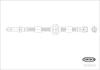 CORTECO 19036619 Brake Hose