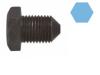 CORTECO 220151S Oil Drain Plug, oil pan