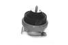 OCAP 1225516 Engine Mounting