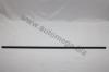 AUTOMEGA 3001630876 Trim-/Protection Strip, windscreen