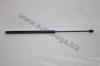 AUTOMEGA 30100080276 Gas Spring, boot-/cargo area