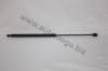 AUTOMEGA 30100750742 Gas Spring, boot-/cargo area