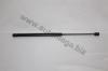 AUTOMEGA 30106370862 Gas Spring, boot-/cargo area