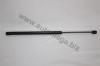 AUTOMEGA 30106610167 Gas Spring, boot-/cargo area