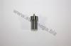 AUTOMEGA 301300211068F Injector Nozzle