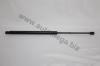 AUTOMEGA 30607340732 Gas Spring, boot-/cargo area