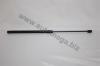 AUTOMEGA 30609000216 Gas Spring, boot-/cargo area