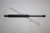 AUTOMEGA 308230360893 Gas Spring, bonnet