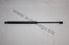 AUTOMEGA 3082705524B9M Gas Spring, boot-/cargo area