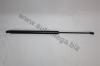 AUTOMEGA 308290331701R Gas Spring, boot-/cargo area