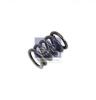DT 4.70090 (470090) Spring