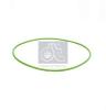 DT 4.20548 (420548) Seal Ring
