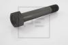 PE Automotive 043.004-10A (04300410A) Screw