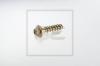 PE Automotive 065.103-00A (06510300A) Screw