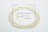 PE Automotive 066.152-00A (06615200A) Gasket / Seal